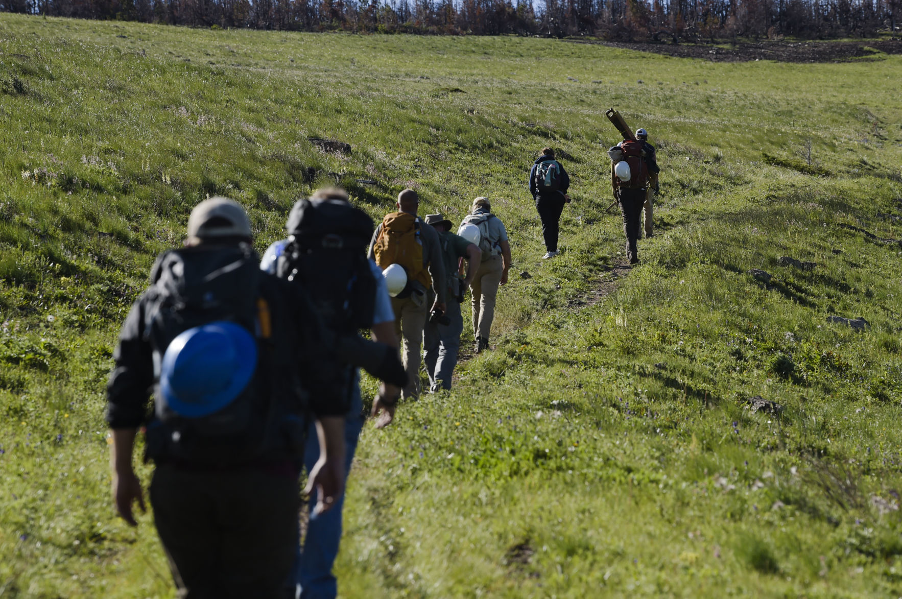 Hiking in